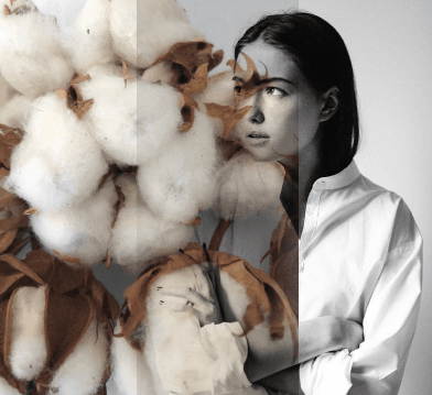 Cotton plant and person in white shirt