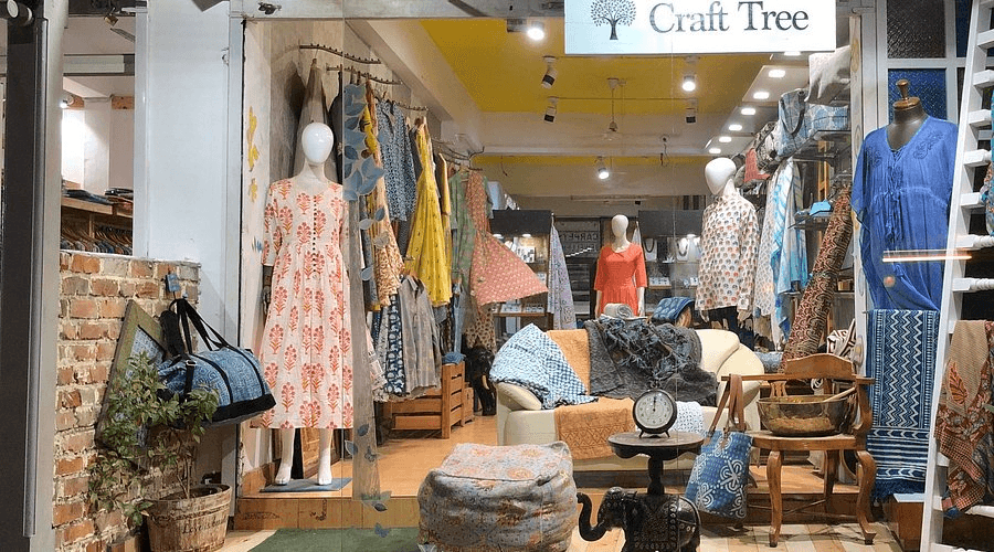 Cotton plant and person in white shirt