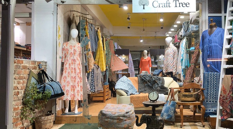 Cotton plant and person in white shirt